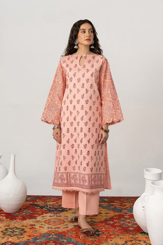 Picture of Noosh - Basics Pret Collection - 2 Piece Peach Pink - NV02D05 - Available at Raja Sahib