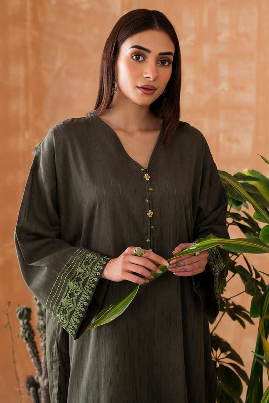 Embroidered Leno Kara Suit P1021 - 2 Piece