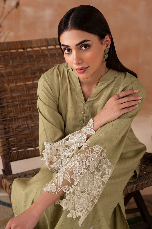 Embroidered Leno Kara Suit P1024 - 2 Piece
