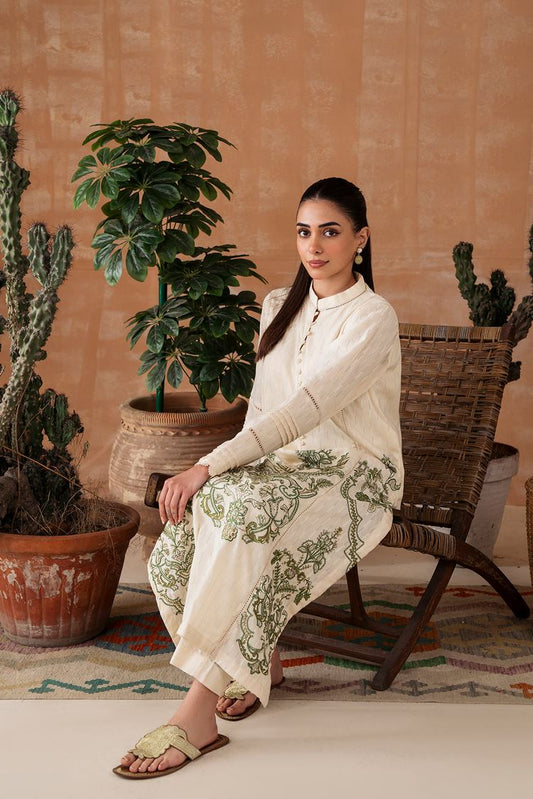 Embroidered Leno Kara Suit P1033 - 2 Piece