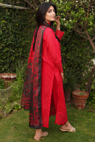 Embroidered Lawn Suit- P1070 - 2 Piece