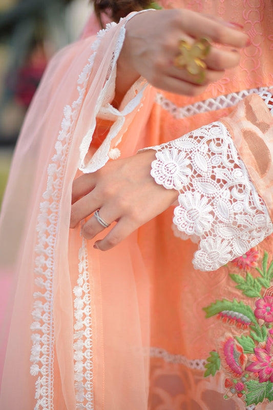 RJS Pret - Bahar Pret Collection - Prima Peach
