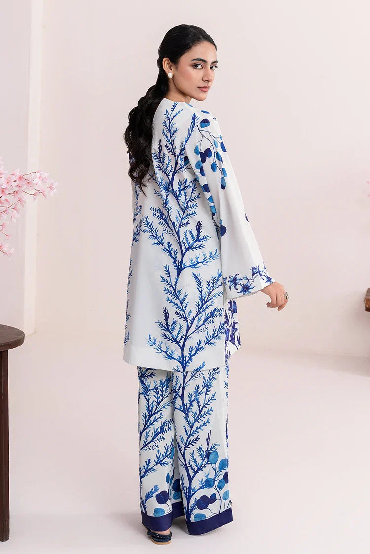 Picture of Stitch Vibes - Ivory Lagoon CO-ord Set - QTX3847 - Available at Raja Sahib