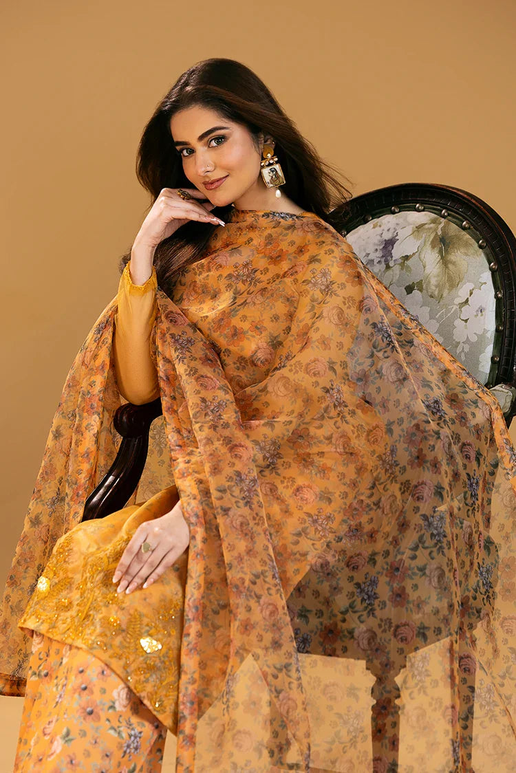 Picture of Amber Imran - Noore Eid Edition 2025 - Raaz-e-Hayat - Available at Raja Sahib