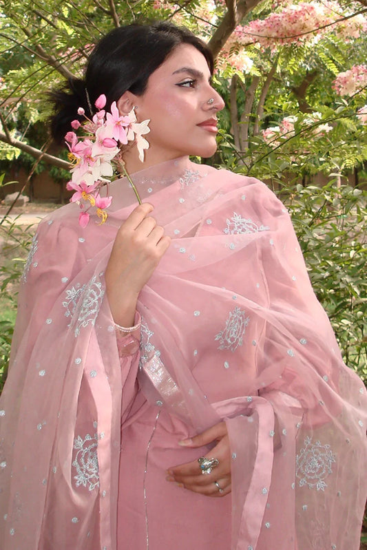 Saarya - Dilruba Festive - Dilreet