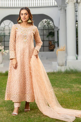 Picture of Manahils - Safiyya RTW Collection - K-137-Peach - Available at Raja Sahib