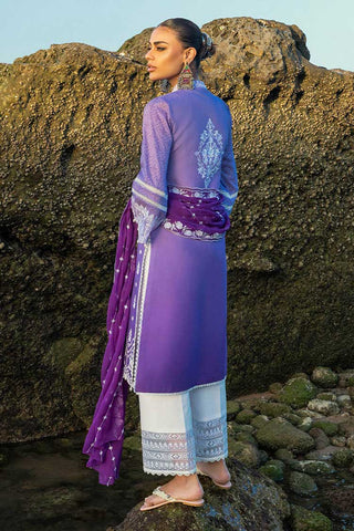 8A Afsana Luxury Chikankari Collection