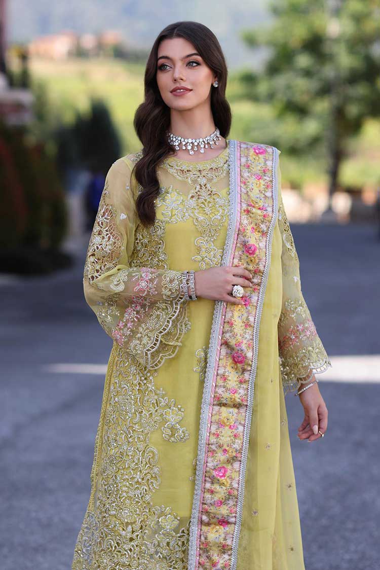 Picture of <!--um-->Noor by Saadia Asad - D4 Minali Noor Chiffon Handwork Schiffli And Laserkari Collection - Available at Raja Sahib