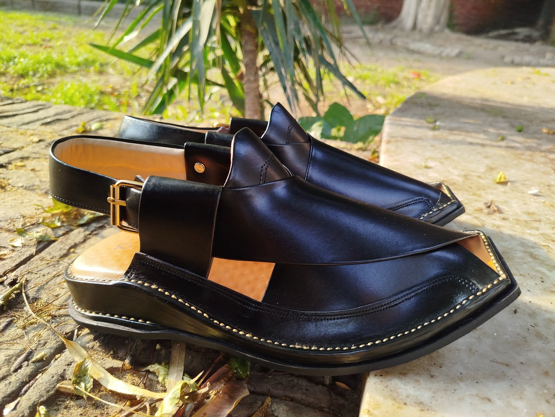 Peshawar Zalmi Black