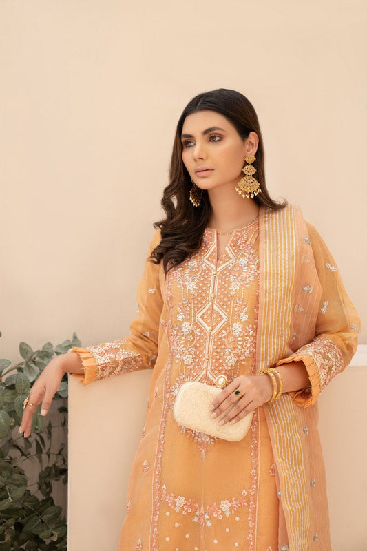 Ellena - 3-PC Stitched Zari Net Suit