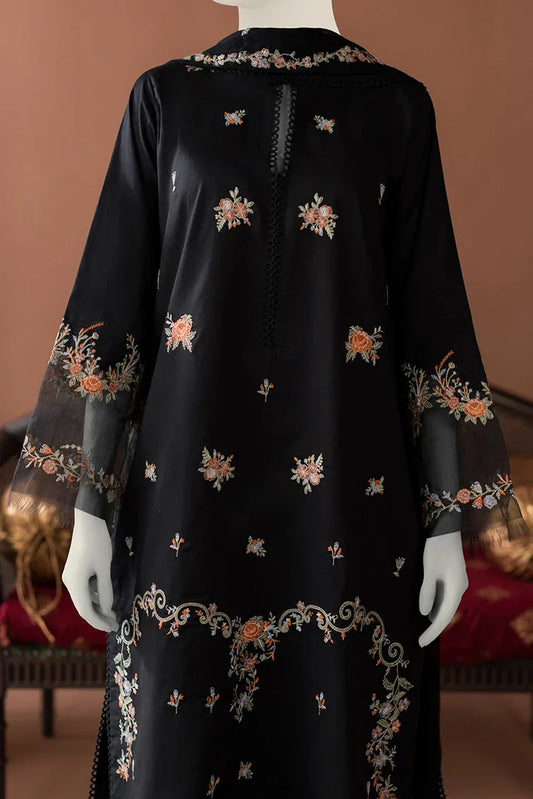 Picture of Zaira & Mahnoor - 3 PC - Eva - Available at Raja Sahib