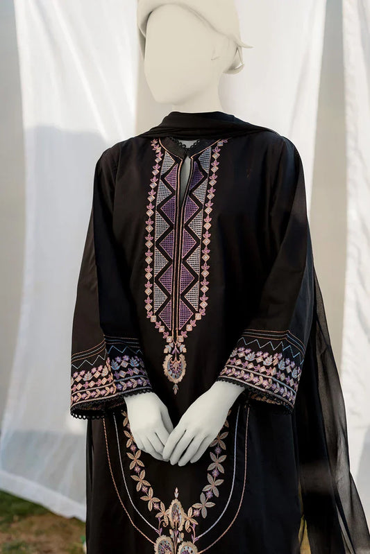 Picture of <!--amb-->Zaira & Mahnoor - Nura - 2 PC - Available at Raja Sahib