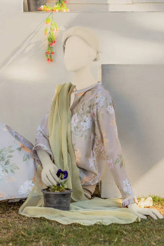 Picture of <!--bug-->Zaira & Mahnoor - Olive - 2 PC - Available at Raja Sahib