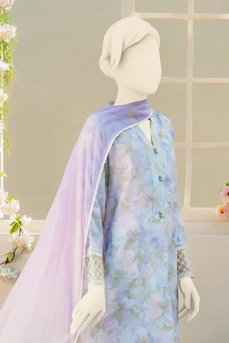 Picture of <!--bkv-->Zaira & Mahnoor - Pie - 2 PC - Available at Raja Sahib