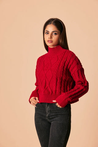 Ellena - Turtle Neck Pullover Sweater