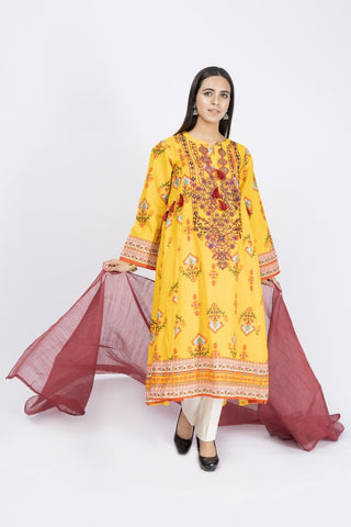 Picture of Printed & Embroidered Lawn Suit - ARN2196 - Available at Raja Sahib