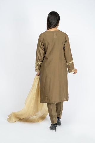 Picture of Embroidered Jacquard Suit - ARN2216 - Available at Raja Sahib