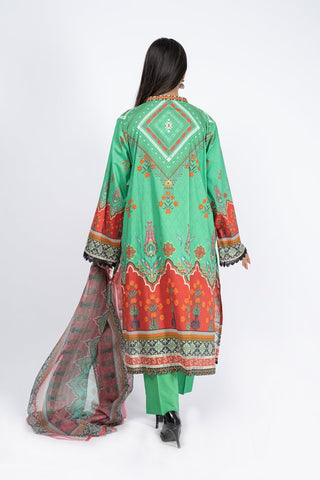 Picture of Printed & Embroidered Lawn Suit - ARN2229 - Available at Raja Sahib