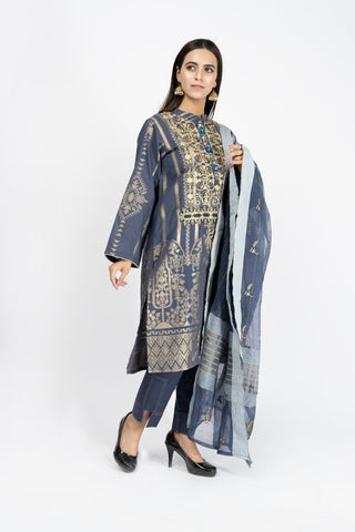 Picture of Embroidered Jacquard Suit - ARN2245 - Available at Raja Sahib