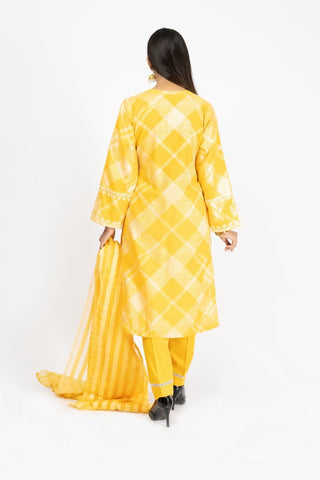 Picture of Embroidered Jacquard Suit - ARN2268 - Available at Raja Sahib