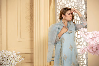 Ellena - 3-PC Stitched Organza Suit