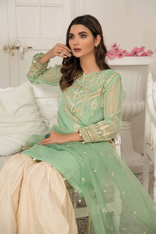 Ellena - Fancy Embroidered Cotton Net 3-PC Suit - EV352