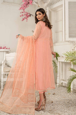 Ellena - Fancy Embroidered Cotton Net 3-PC Suit - EV362