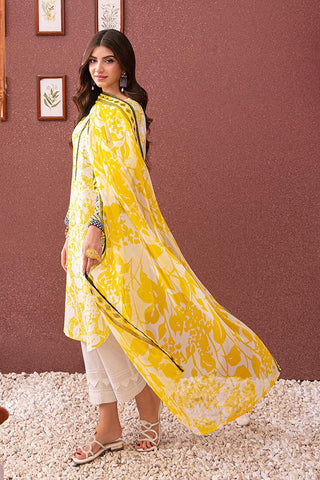 Asim Jofa - AJOD 20 (2 PC) Outfit Of The Day Collection