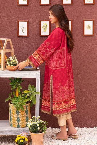 Asim Jofa - AJOD 07 (1 PC) Outfit Of The Day Collection