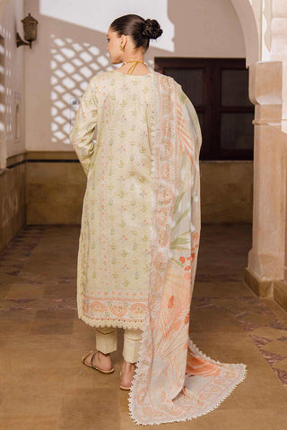 Aabyaan - AS 01 FARHINA Shezlin Chikankari Prints