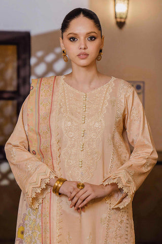 Aabyaan - AS 04 INESSA Shezlin Chikankari Prints