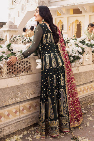 Asim Jofa - AJSH 11 Shehnai Festive Collection