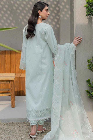 JK 12 Siofra Qline Lawn Collection