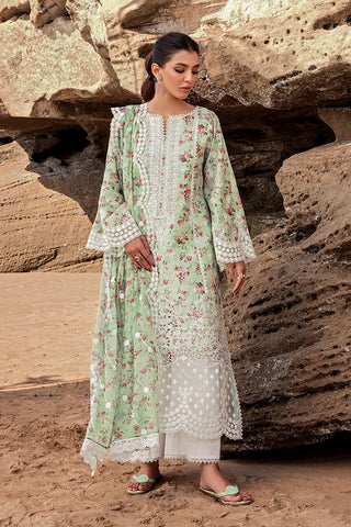 ESME 9A Luxury Chikankari Collection