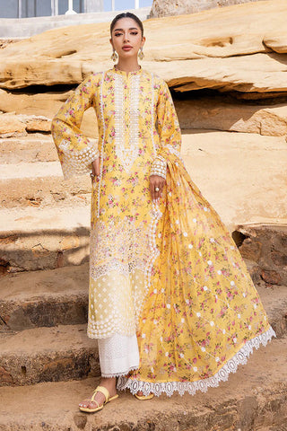 ESME 9B Luxury Chikankari Collection