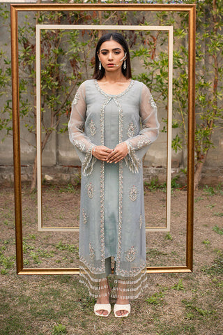 Picture of Ahmad Raza - Shaadi Pret Collection - AR2012 - Available at Raja Sahib