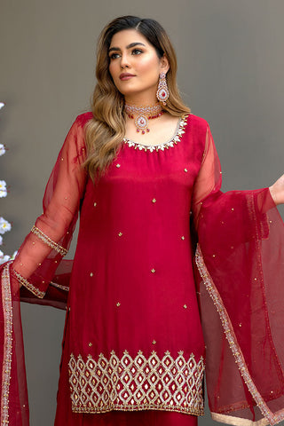 Afsana Pret Collection - AR2056