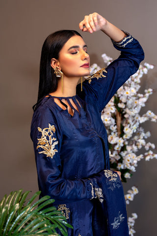 Picture of Ahmad Raza - Afsana Pret Collection - AR2066 - Available at Raja Sahib