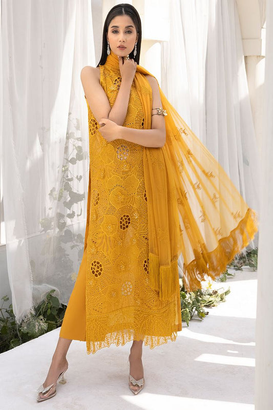 Picture of Diva Luxury Chiffon Collection - Kesha - Available at Raja Sahib