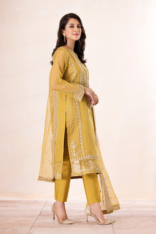 Ellena - 3-PC Stitched Embroidered Organza Suit