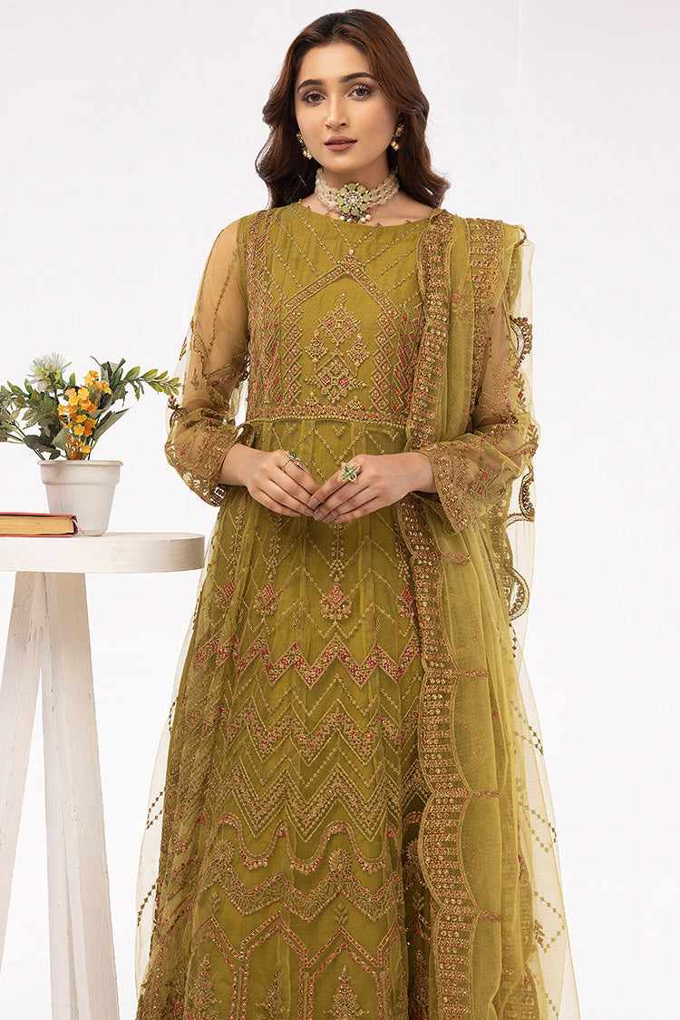 Picture of Ellena - Embroidered Net Maxi Dress - Available at Raja Sahib