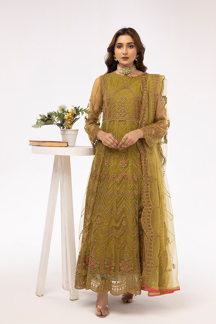 Picture of Ellena - Embroidered Net Maxi Dress - Available at Raja Sahib