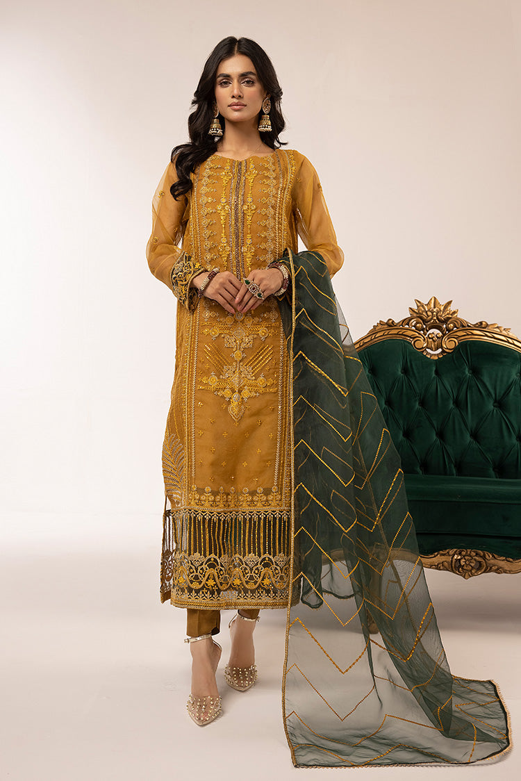 Picture of Ellena - 3-PC Stitched Fancy Embroidered Organza Suit - Available at Raja Sahib