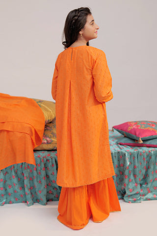 Senorita - GBD-02589 | Orange & Gold | Casual Plus 3 Piece Suit  | Cotton Jacqurd Dobby