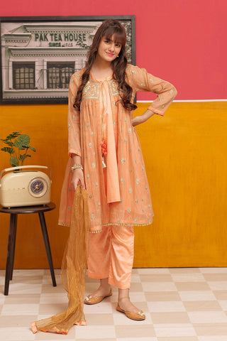 GDD-02311 | Peach & Golden | Formal 3 Piece Suit | Banarsi Masuri Fabric