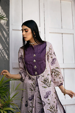 Picture of Zivah - Ready to Wear Summer Lawn Collection - Hazel - Available at Raja Sahib