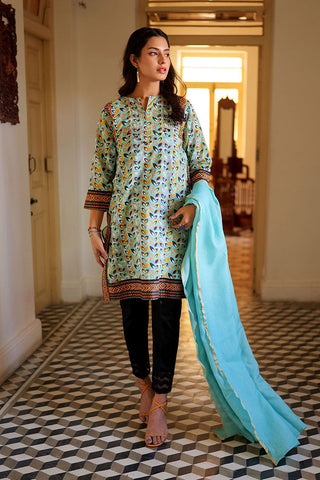 LAB-02160 | Sea Green & Multicolor | Casual 2 Piece Suit  | Cotton  Lawn Print