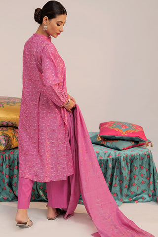 Senorita - LBD-02567 | Shocking Pink & Gold | Casual plus 3 Piece Suit  | Cotton Yarn dyed Jacquard