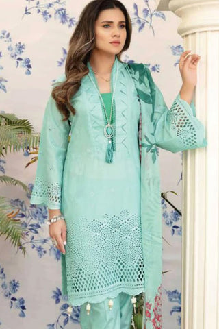 Riaz Arts 3 PC D-29 Aafreen Embroidered Lawn Collection 2021