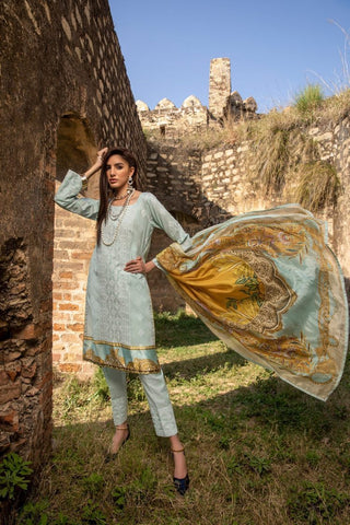 Picture of Z.S Textile - 3 PC D-6 Kalyan Vol-3 Embroidered Chikan Kari Lawn Collection - Available at Raja Sahib